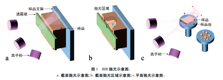 氬離子拋光機(jī)示意圖